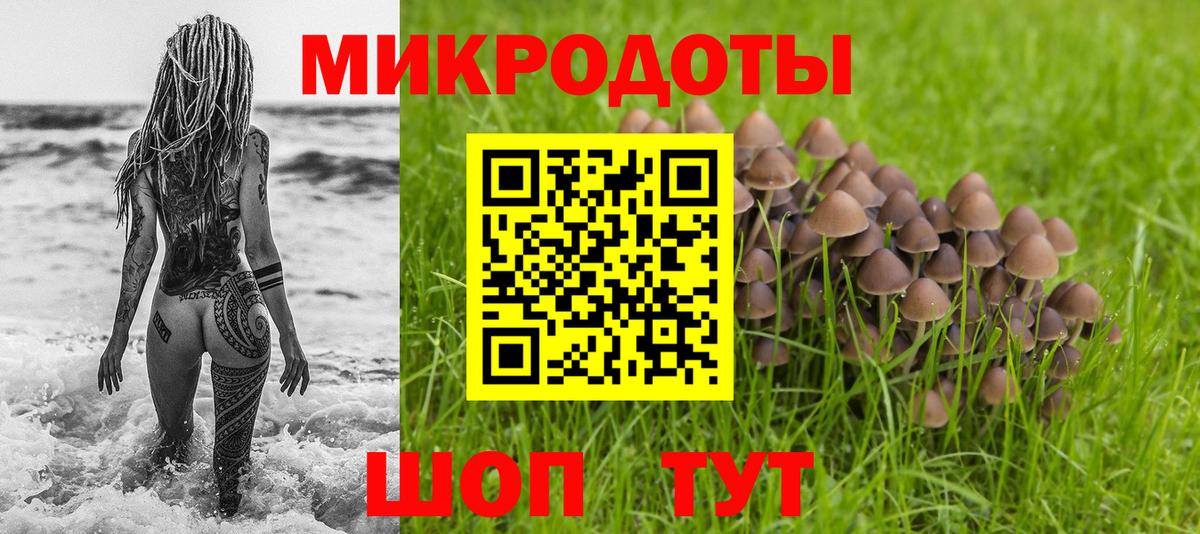 Кизляр  Галлюциногенные грибы мицелий  Вход с VPN 
